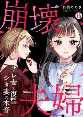 崩壊夫婦～サレ妻の復讐・シタ妻の本音(16)