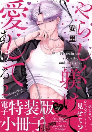 やらしく躾けて愛してあげる−Dom/Subユニバース−【単行本版/電子特装版小冊子付き】2 やらしく躾けて愛してあげる−Dom/Subユニバース−【単行本版/電子特装版小冊子付き】2