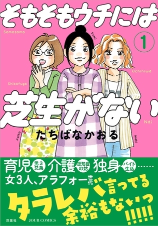 そもそもウチには芝生がない ： 1