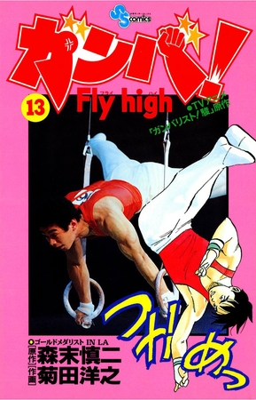 ガンバ!Fly high 13