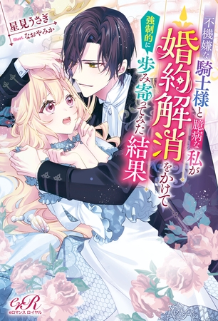 不機嫌な騎士様と臆病な私が婚約解消をかけて強○的に歩み寄ってみた結果