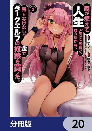 家が燃えて人生どうでも良くなったから、残ったなけなしの金でダークエルフの奴隷を買った。【分冊版】　20