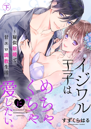 イジワル王子はめちゃくちゃに愛したい。～疑似新婚で甘エロ調教生活【電子限定描き下ろし漫画付き】2
