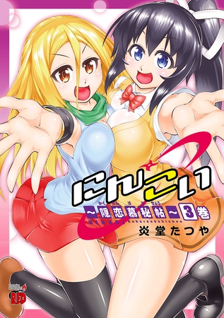 にんこい～隠恋慕秘帖～　3