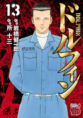 ドルフィン　13