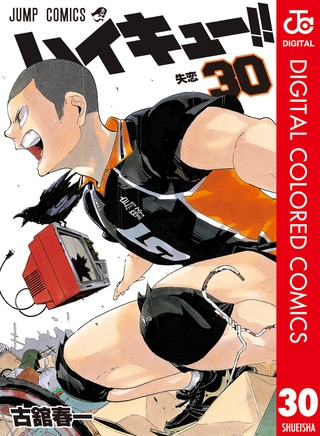 ハイキュー！！ カラー版 30