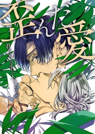 歪んだ愛～君の全てを手に入れるためなら～