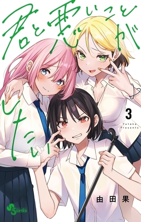 君と悪いことがしたい 3