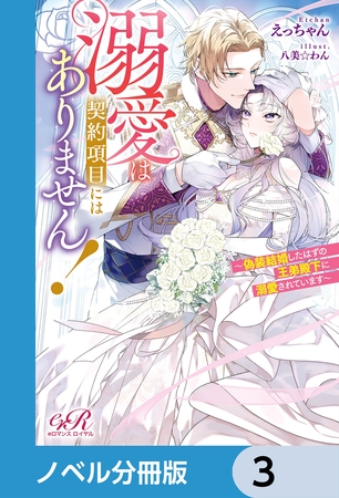 溺愛は契約項目にはありません！　〜偽装結婚したはずの王弟殿下に溺愛されています〜【ノベル分冊版】　3