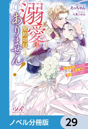 溺愛は契約項目にはありません！　〜偽装結婚したはずの王弟殿下に溺愛されています〜【ノベル分冊版】　29