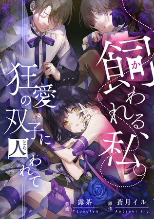 飼われる、私。―狂愛の双子に囚われて―【タテスク】　第16話