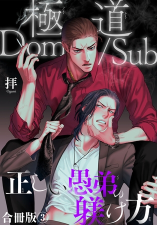 極道Dom/Sub 正しい愚弟の躾け方【合冊版】3
