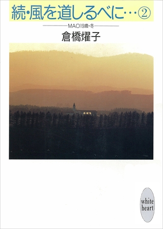 続・風を道しるべに…（２）　ＭＡＯ　１９歳・冬