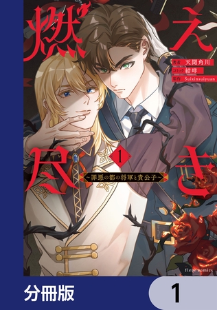 燃え尽き【分冊版】　1