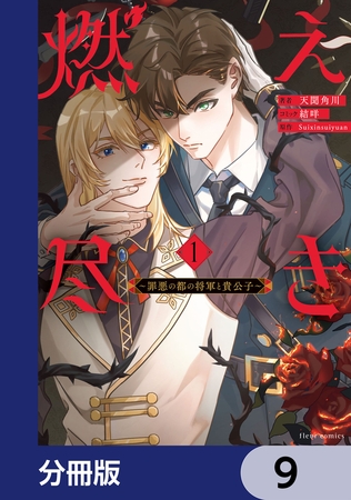 燃え尽き【分冊版】　9