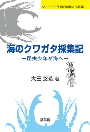 海のクワガタ採集記　昆虫少年が海へ