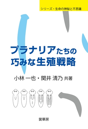 プラナリアたちの巧みな生殖戦略