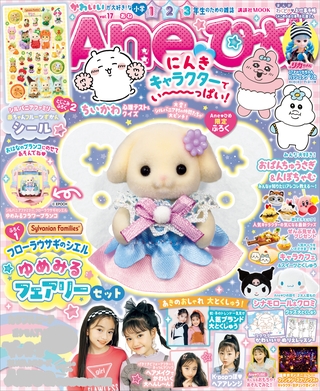 Ａｎｅひめ　ｖｏｌ．１７