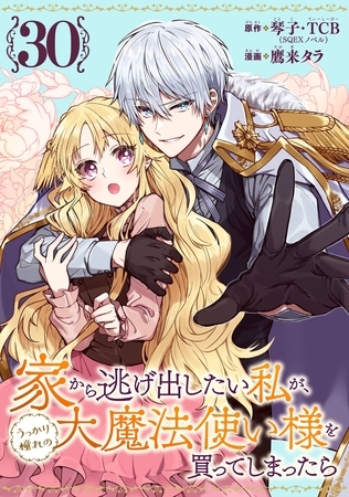 家から逃げ出したい私が、うっかり憧れの大魔法使い様を買ってしまったら（コミック）【分冊版】 30