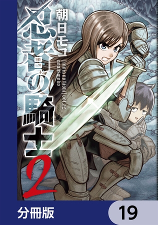 忍者の騎士【分冊版】　19