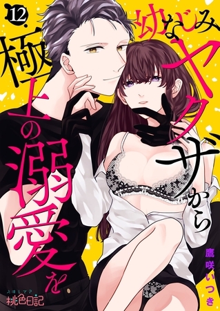 幼なじみヤクザから極上の溺愛を 12