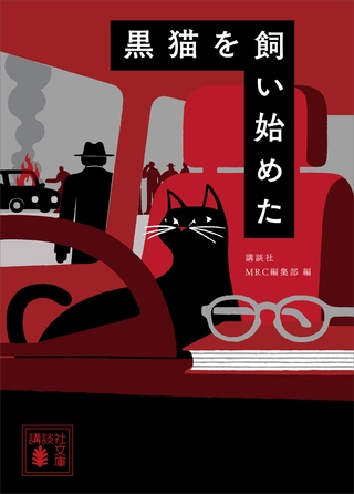 黒猫を飼い始めた