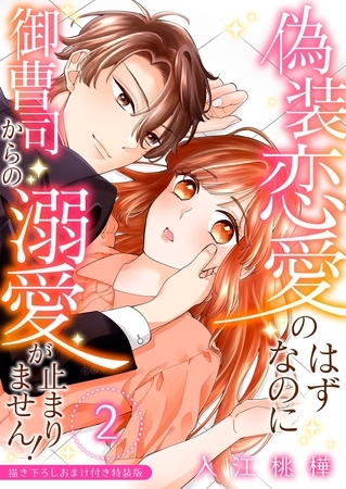 偽装恋愛のはずなのに御曹司からの溺愛が止まりません！【描き下ろしおまけ付き特装版】 2