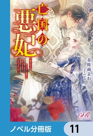 亡国の悪妃〜愛されてはいけない前世に戻ってきてしまいました〜【ノベル分冊版】　11