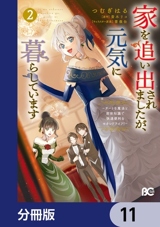 家を追い出されましたが、元気に暮らしています　〜チートな魔法と前世知識で快適便利なセカンドライフ！〜【分冊版】　11