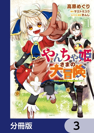 やんちゃ姫さまの大冒険　うちの第三王女、冒険者になるってよ【分冊版】　3
