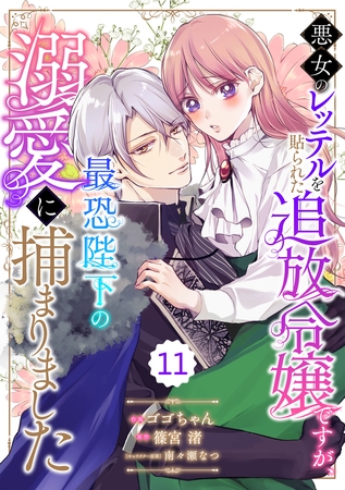 Berry’sFantasy悪女のレッテルを貼られた追放令嬢ですが、最恐陛下の溺愛に捕まりました11巻