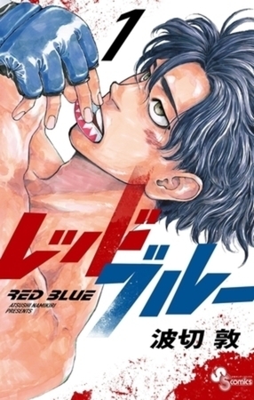 レッドブルー 13巻パック