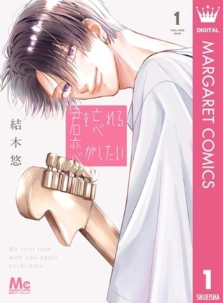 君を忘れる恋がしたい 4巻パック