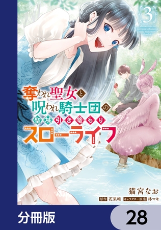 奪われ聖女と呪われ騎士団の聖域引き篭もりスローライフ【分冊版】　28