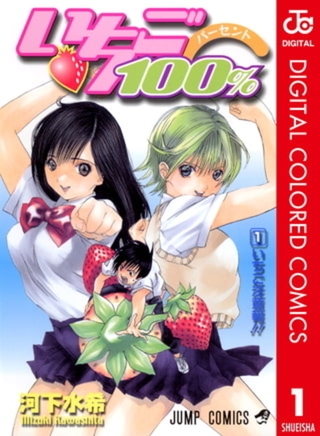 いちご100％ カラー版 19巻パック