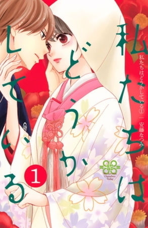 私たちはどうかしている　１９巻パック