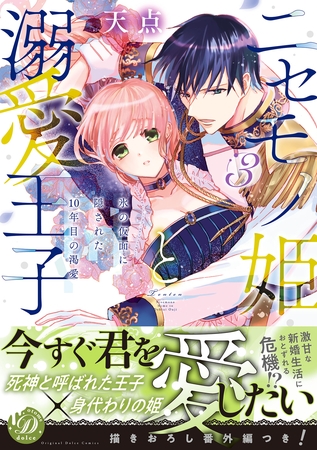 【期間限定　試し読み増量版】ニセモノ姫と溺愛王子～氷の仮面に隠された10年目の渇愛～３