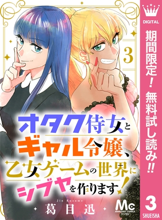 オタク侍女とギャル令嬢、乙女ゲームの世界にシブヤを作ります！【期間限定無料】 3