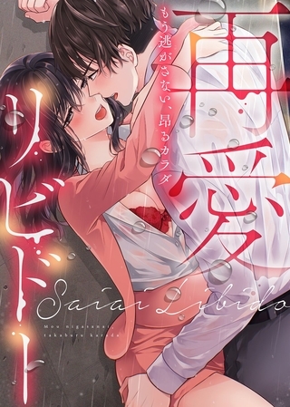 【期間限定　試し読み増量版】再愛リビドー～もう逃がさない、昂るカラダ