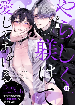 やらしく躾けて愛してあげる−Dom／Subユニバース−１１
