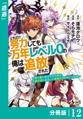 どれだけ努力しても万年レベル０の俺は追放された～神の敵と呼ばれた少年は、社畜女神と出会って最強の力を手に入れる～【分冊版】（ノヴァコミックス）１２