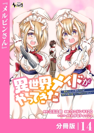 異世界メイドがやってきた～異邦人だった頃のメイドが現代の我が家でエッチなメイドさんに～【分冊版】（ノヴァコミックス）14