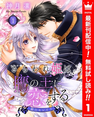 さらわれ姫は鷹の王に恋をする 銀のセレイラ【期間限定無料】 1