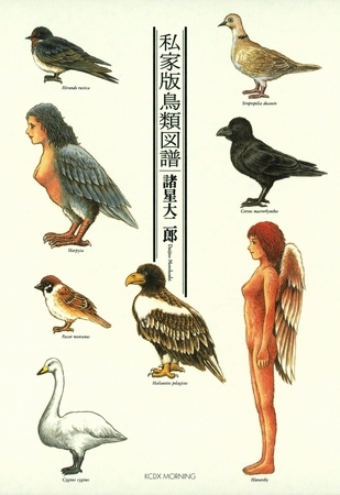 【期間限定　試し読み増量版】私家版鳥類図譜