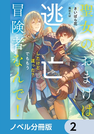 聖女のおまけは逃亡したけど違った？　でももう冒険者なんで！【ノベル分冊版】　2