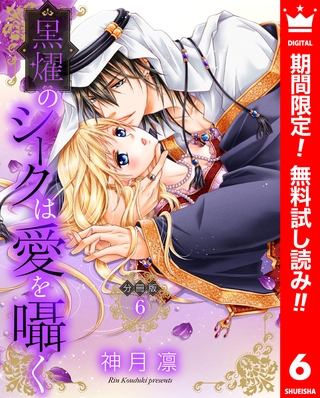 【分冊版】黒燿のシークは愛を囁く【期間限定無料】 6