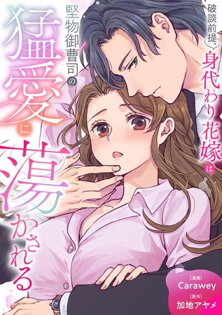 破談前提、身代わり花嫁は堅物御曹司の猛愛に蕩かされる（分冊版）第３話