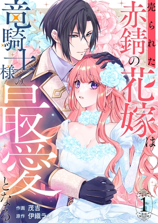 【期間限定　無料お試し版　閲覧期限2025年8月20日】売られた赤錆の花嫁は竜騎士様の最愛となる１