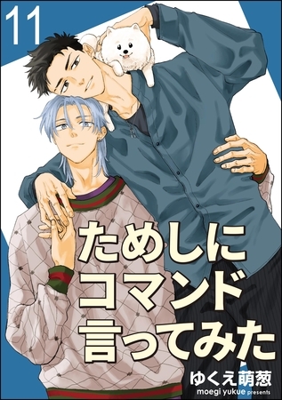 ためしにコマンド言ってみた（分冊版）　【第11話】