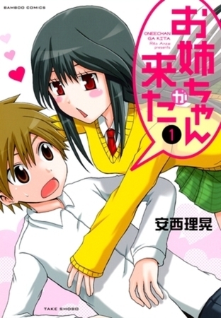 お姉ちゃんが来た 15巻パック